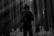 Man in the Woods