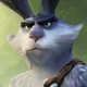 Aster bunnymund