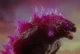 Pink 2024 godzilla