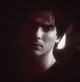 DAMON SALVATORE