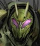 Waspinator