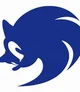 Team Sonic