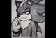 Shadow the Hedgehog