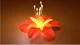 Phoenix Flower
