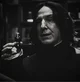 02 SEV SNAPE