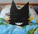 Shadow Hoshi