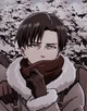 Levi Ackerman - 11