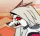 Angry Loona 