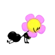 R34 Flower