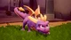 Spyro Reignite 1