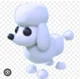 Poodle