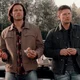 THE WINCHESTERS