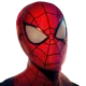The Web-Slinger