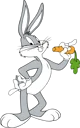 Bugs