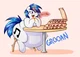 Fat Vinyl Scratch