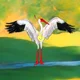 Jerry the Stork