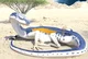 Biguana vore