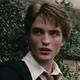 Cedric Digory 