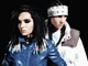 KaulitzTwins Tigers