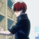 Shoto todoroki 