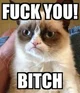 GRUMPY CAT