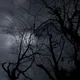 Ryuk