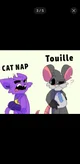 Cat nap y Touille 