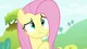 Fluttershy
