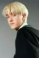 Draco lucius malfoy 