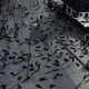 The Zombie Apocalyps