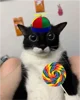 Lollipop cat