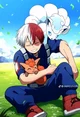 Shoto Todoroki 