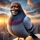 Lebron Pigeon