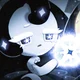 Moonlight - Cookie