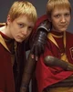 Gemelos weasly 