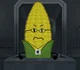 Steve cobs
