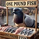 One pound fish