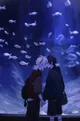 Kazuha x Scara User