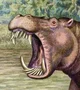 Hippopotamus Gorgops