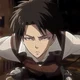 Levi Ackerman 