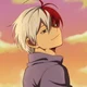 Shoto Todoroki