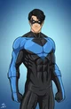 Nightwing Year one
