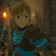 Link