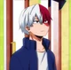 Shoto todoroki 