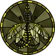 Wings of Fire RP