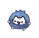 Blueberry cat