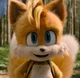 Tails The Fox