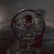 Hydra