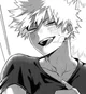 Katsuki bakugo