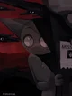 Gray The Cat